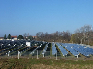 Freilandanlage Kittlitz Bild1