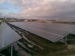 Freilandanlage Kodersdorf Bild2