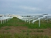 Freilandanlage Löbau West  Bild1
